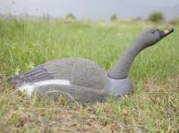 Чучело Гусь Гуменник курлыкающий  полукорпусной