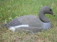 Чучело Гусь Гуменник отдыхающий  полукорпусной