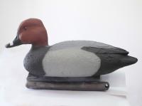 Чучело Красноголовый нырок селезень пластик