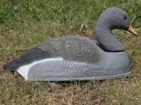 Чучело Гусь Серый отдыхающий полукорпусной