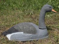 Чучело Гусь Серый сторожевой полукорпусной