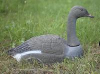 Чучело Гусь Гуменник сторожевой полукорпусной