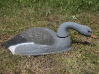 Чучело Гусь Серый кормящийся полукорпусной