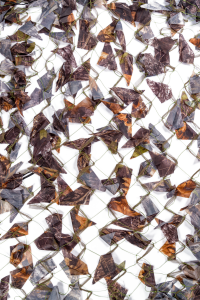 Накидка для засидки 3,5*3,5 / ткань синтет. / темный лес Накидка для засидки 3,5*3,5 / ткань синтет. / темный лес